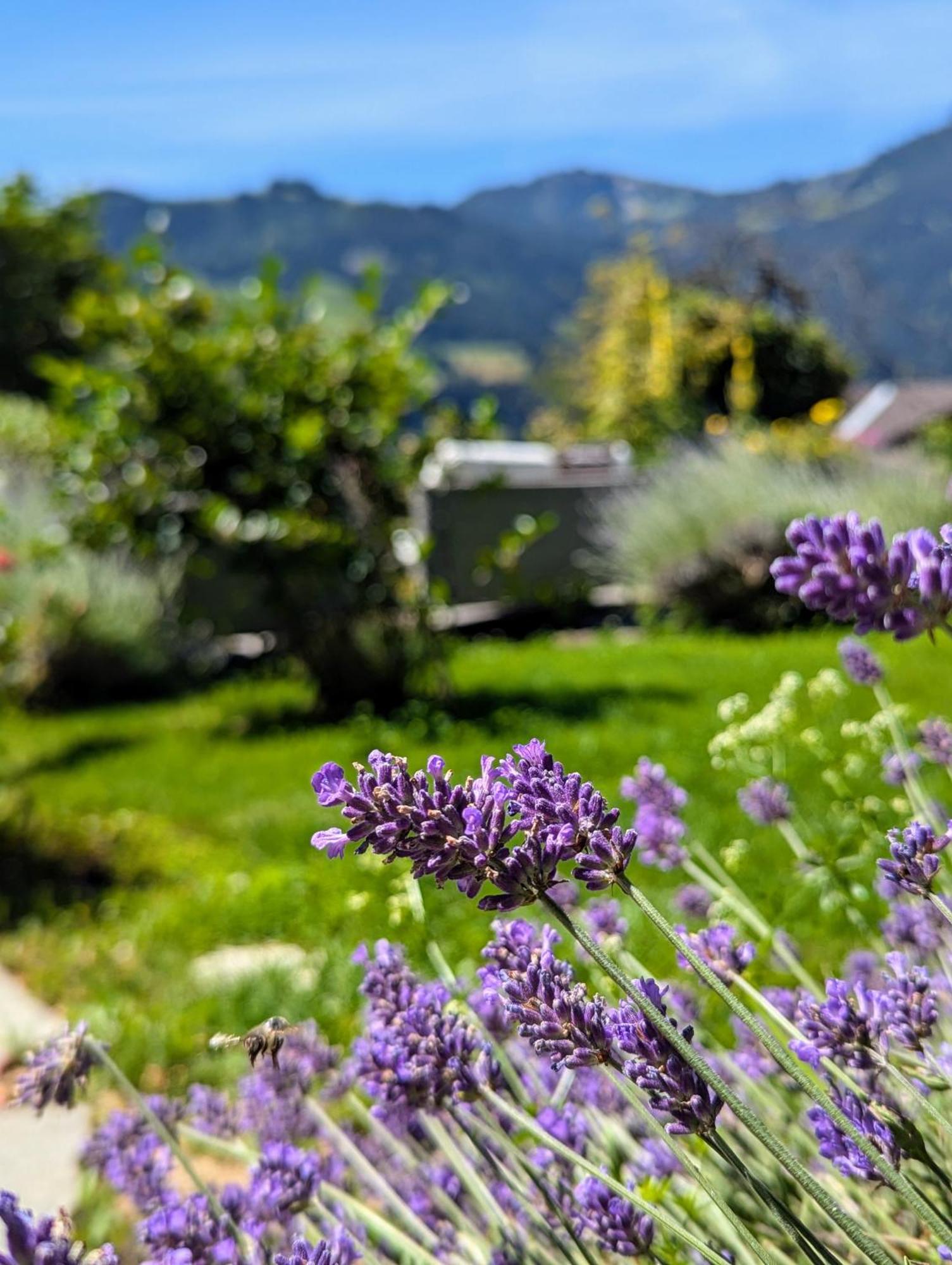 Erlenbach im Simmental Swiss Mountain-Valley View Lodge מראה חיצוני תמונה
