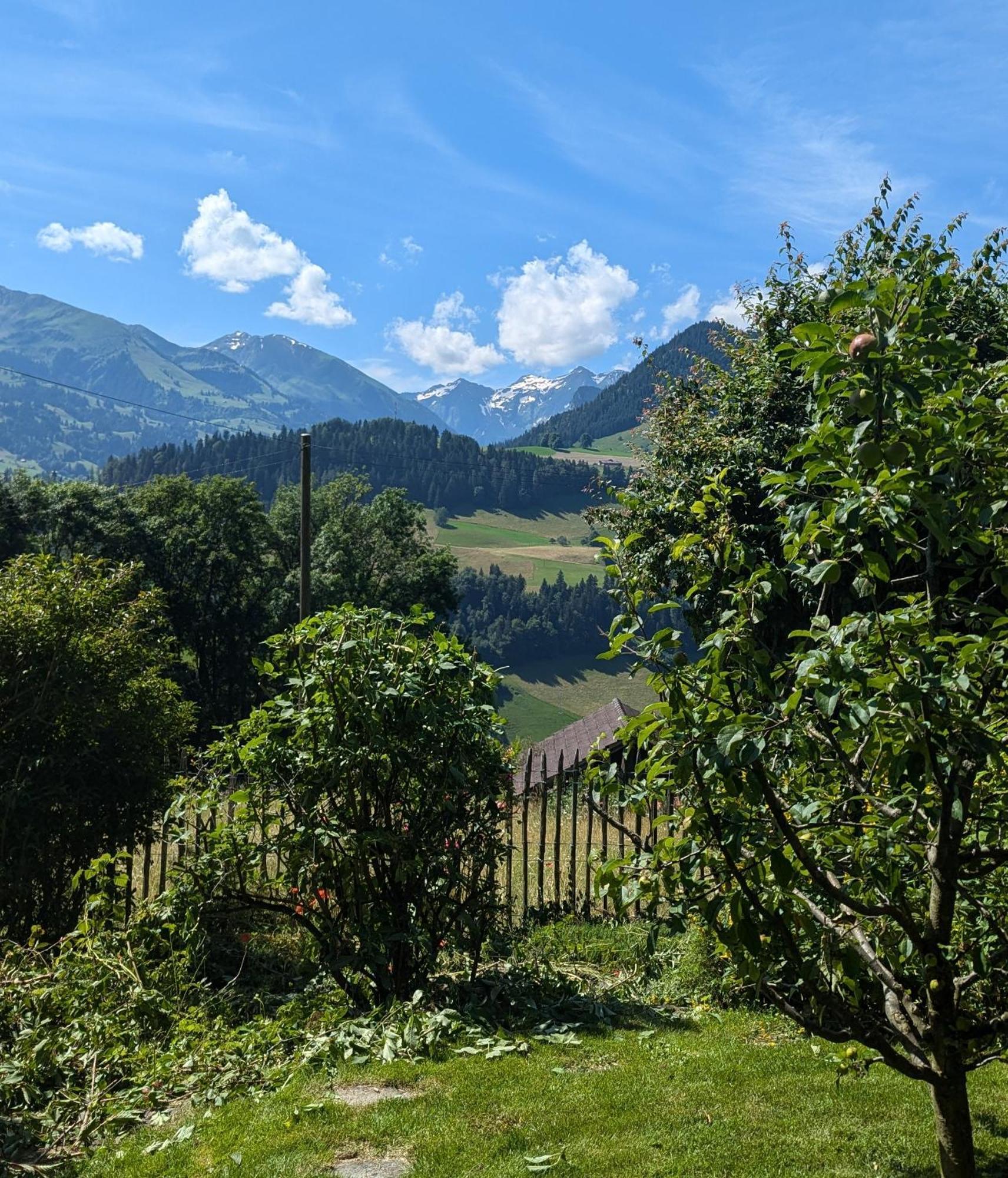 Erlenbach im Simmental Swiss Mountain-Valley View Lodge מראה חיצוני תמונה