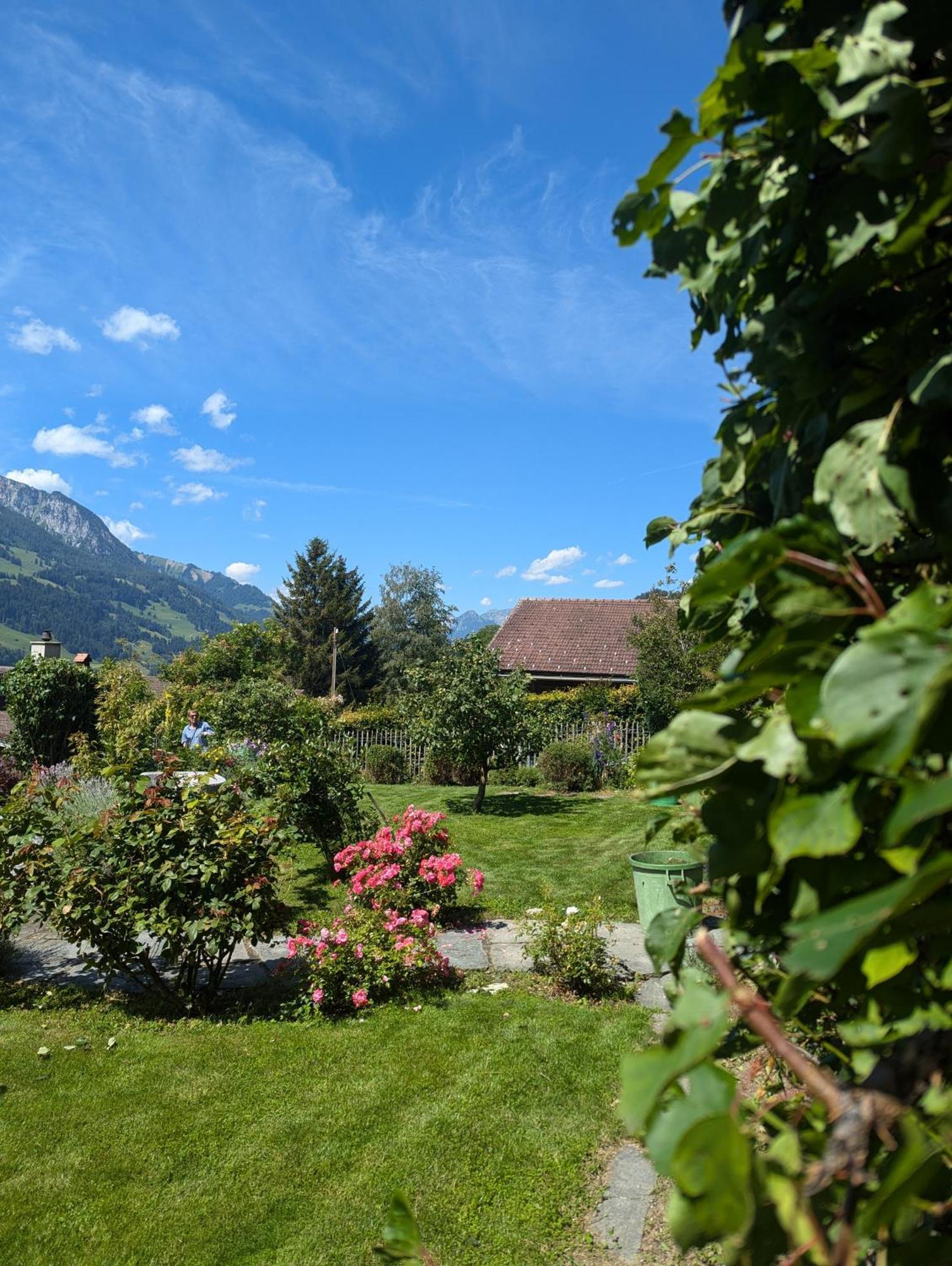 Erlenbach im Simmental Swiss Mountain-Valley View Lodge מראה חיצוני תמונה