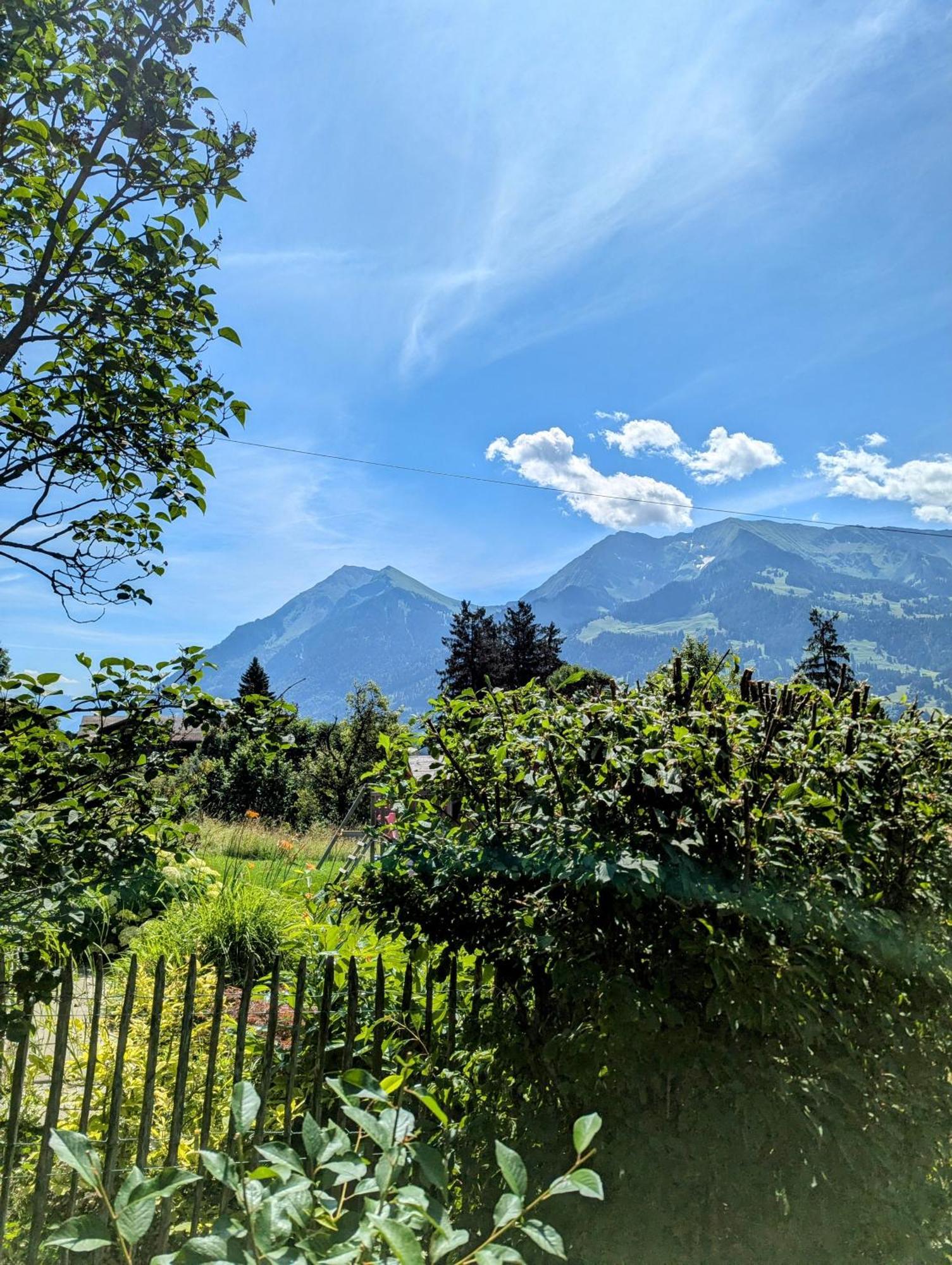 Erlenbach im Simmental Swiss Mountain-Valley View Lodge מראה חיצוני תמונה
