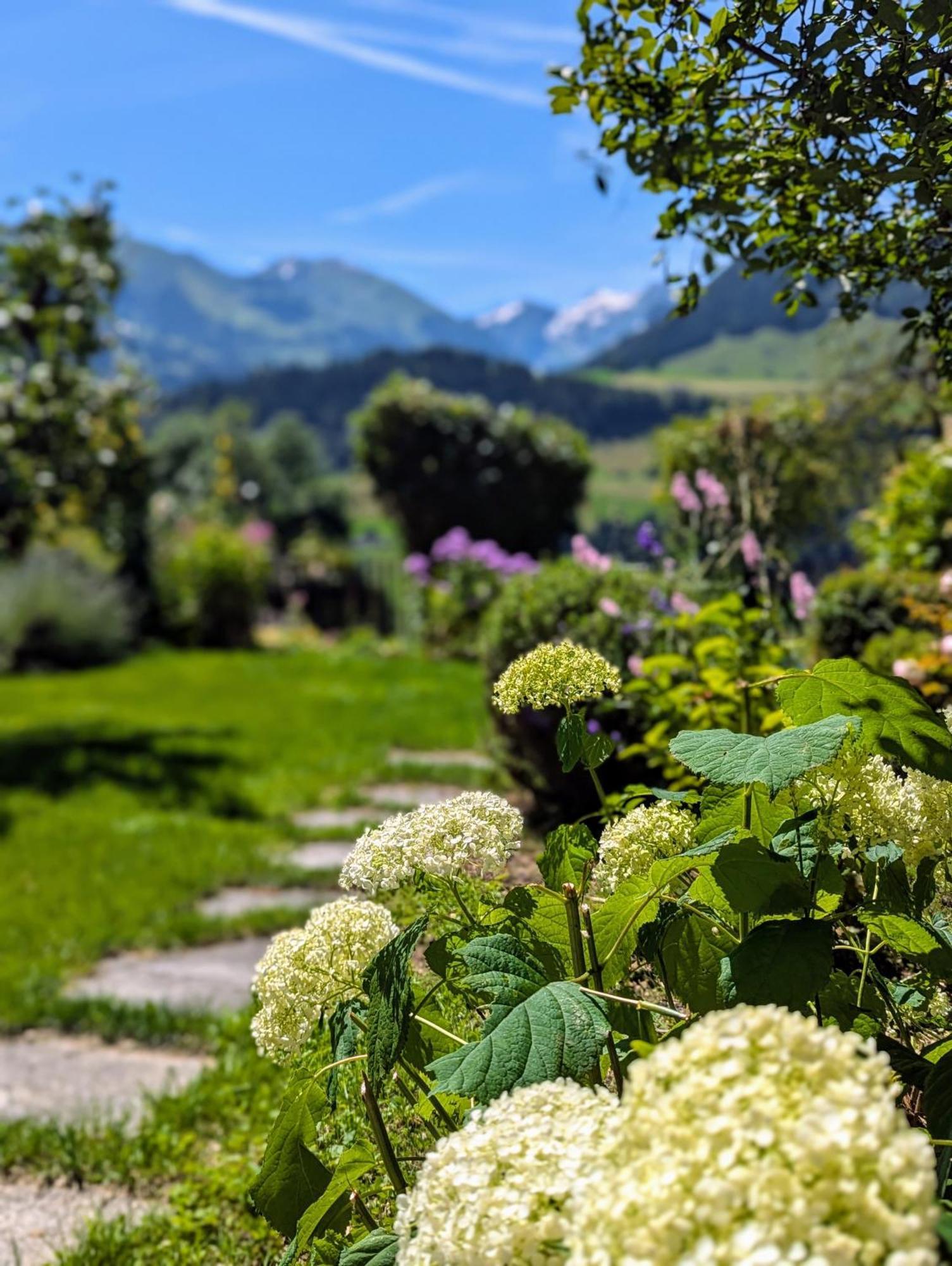 Erlenbach im Simmental Swiss Mountain-Valley View Lodge מראה חיצוני תמונה