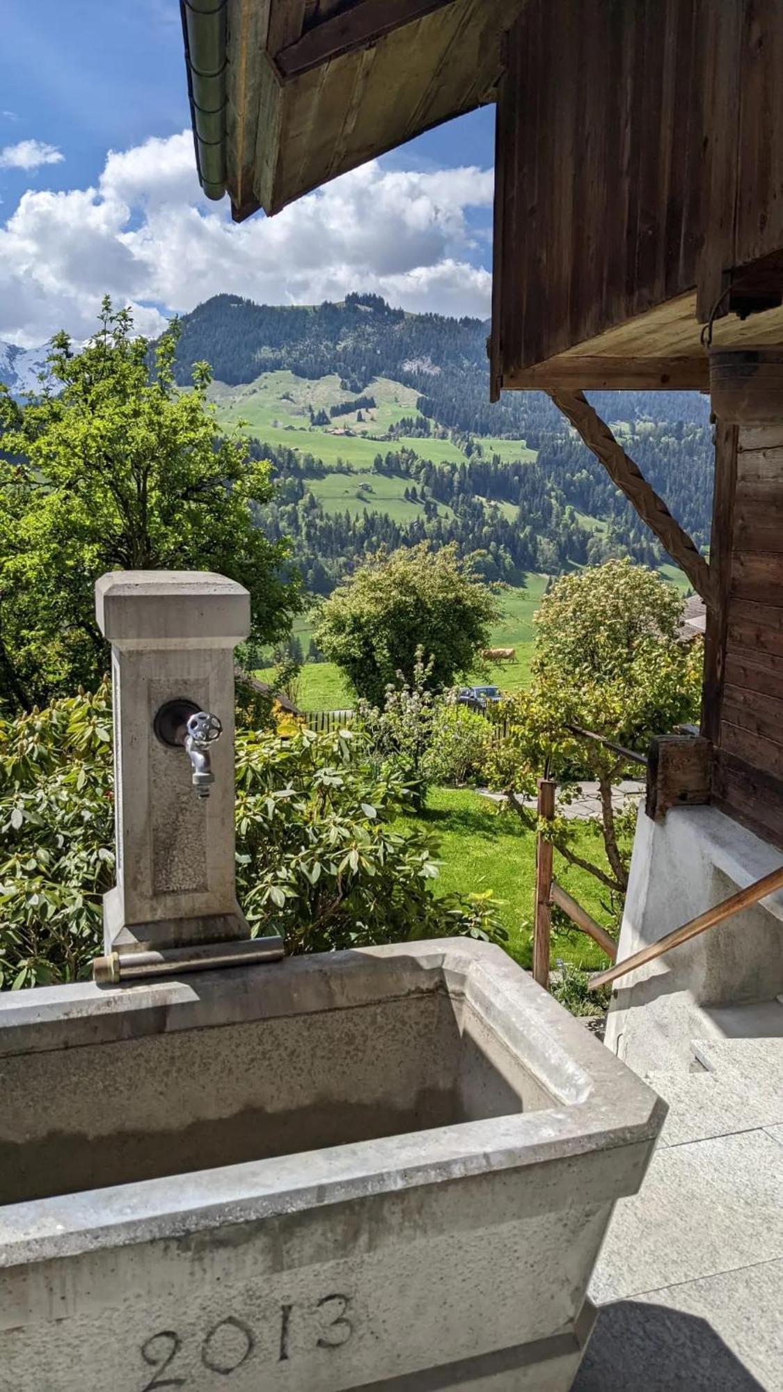 Erlenbach im Simmental Swiss Mountain-Valley View Lodge מראה חיצוני תמונה