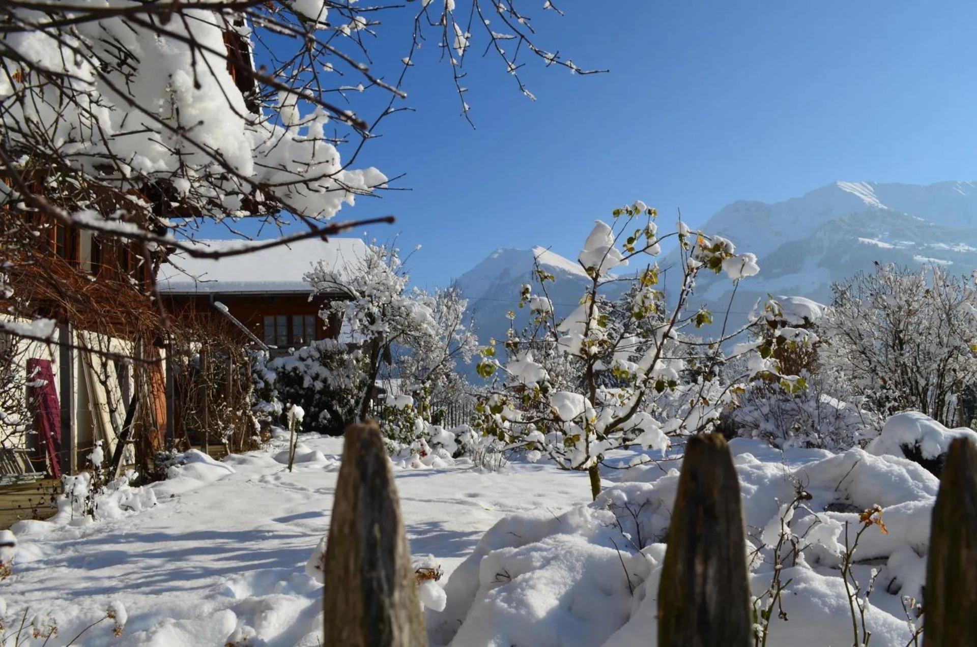 Erlenbach im Simmental Swiss Mountain-Valley View Lodge מראה חיצוני תמונה