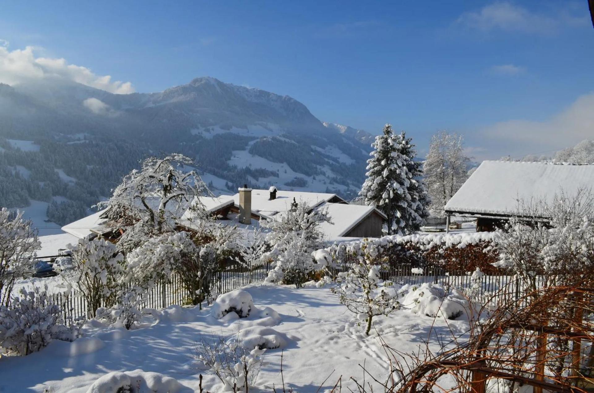 Erlenbach im Simmental Swiss Mountain-Valley View Lodge מראה חיצוני תמונה
