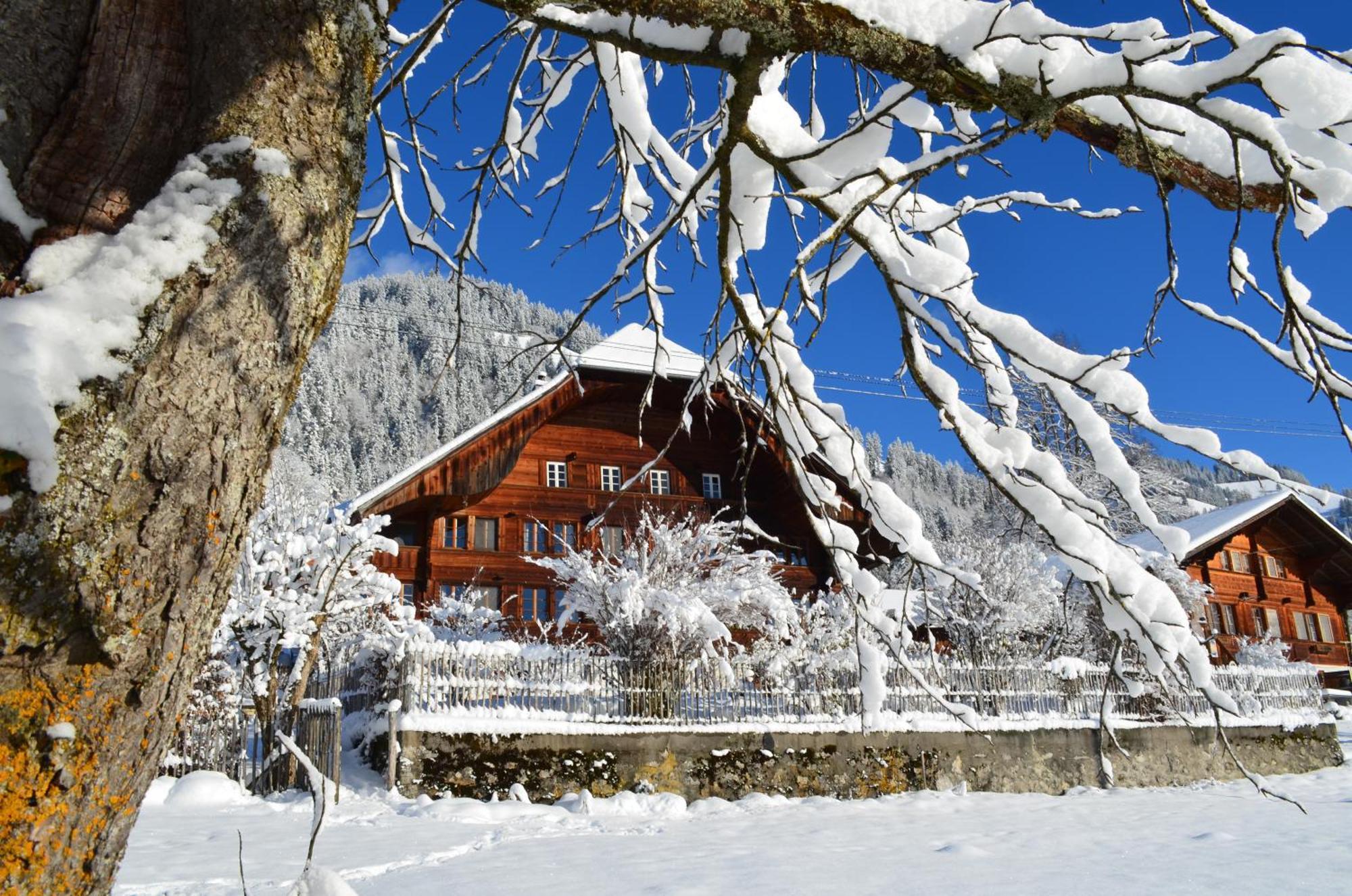 Erlenbach im Simmental Swiss Mountain-Valley View Lodge מראה חיצוני תמונה