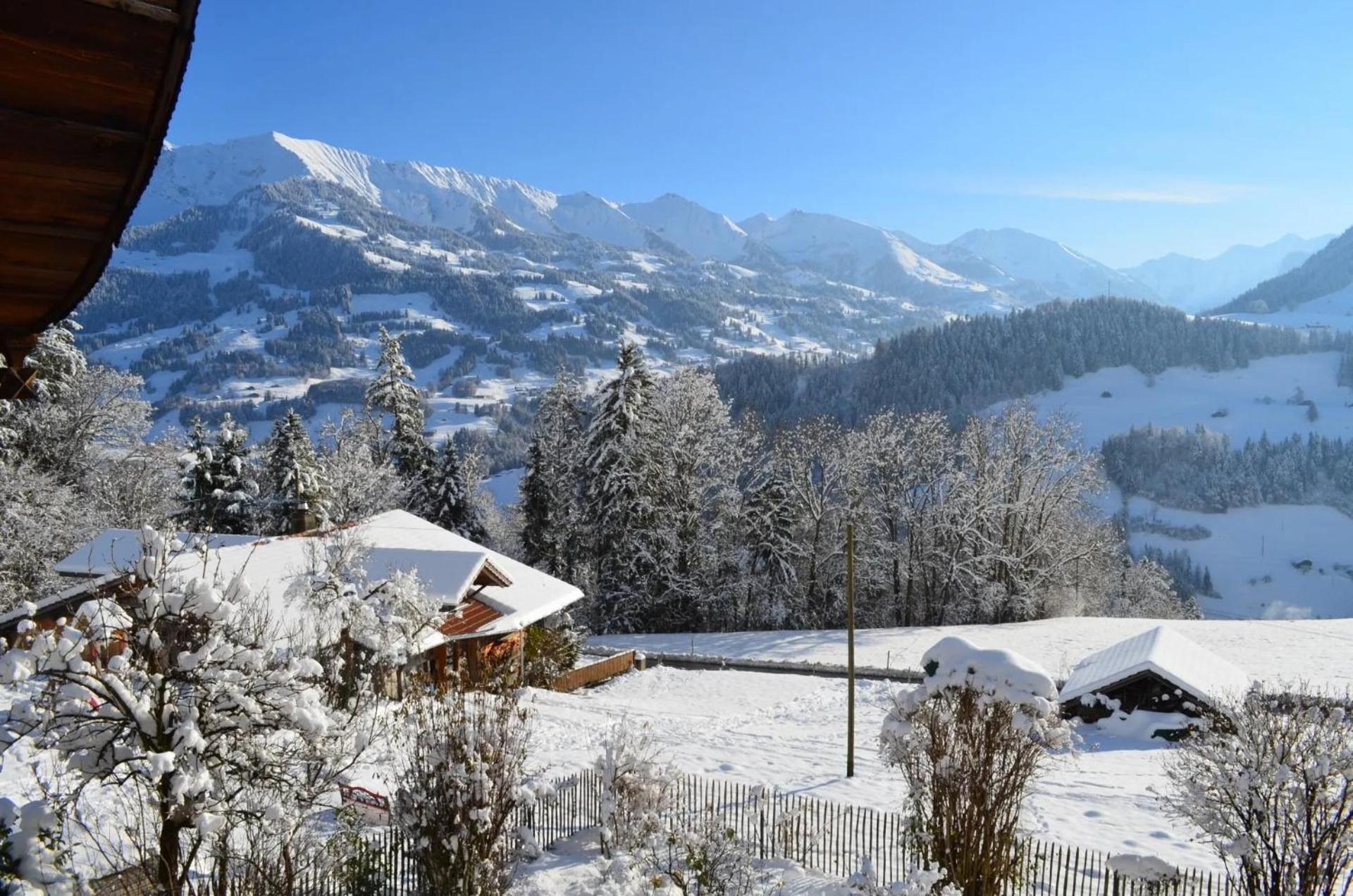 Erlenbach im Simmental Swiss Mountain-Valley View Lodge מראה חיצוני תמונה