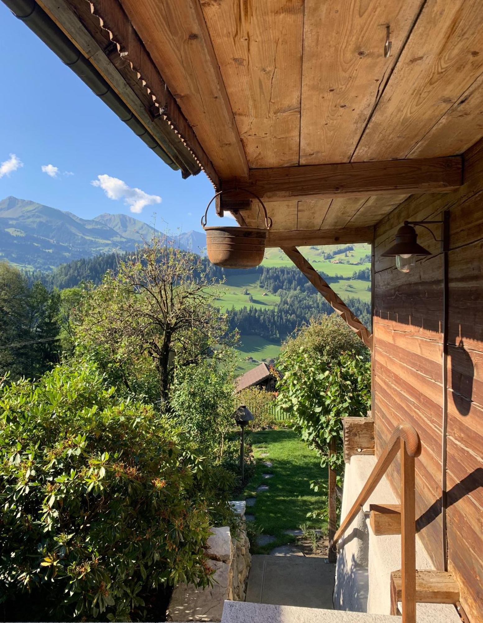 Erlenbach im Simmental Swiss Mountain-Valley View Lodge מראה חיצוני תמונה